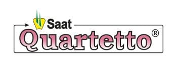Quartetto - Saat