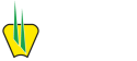 Saat Andina