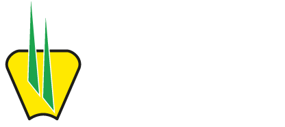 Saat Andina